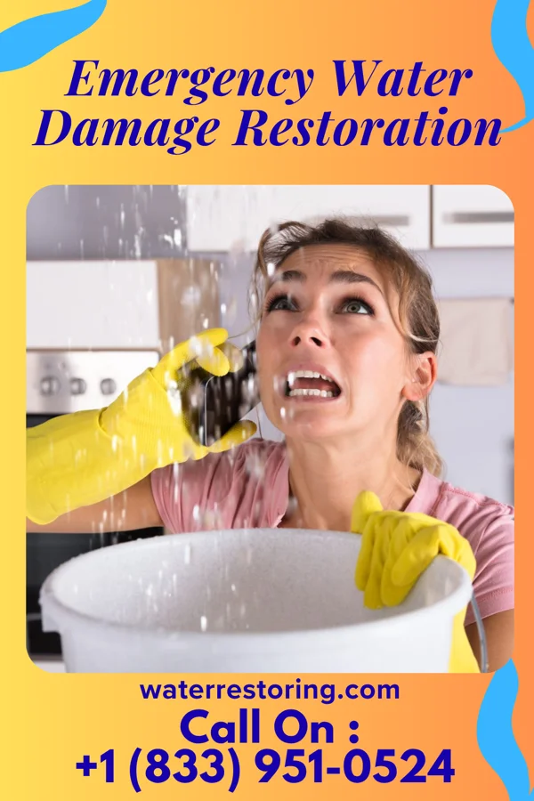 Emergency Water Damage Restoration in Palestine, TX