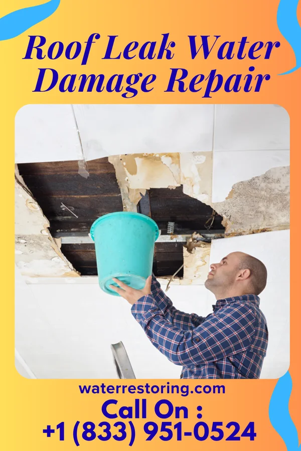 Roof Leak Water Damage Repair in Palestine, TX