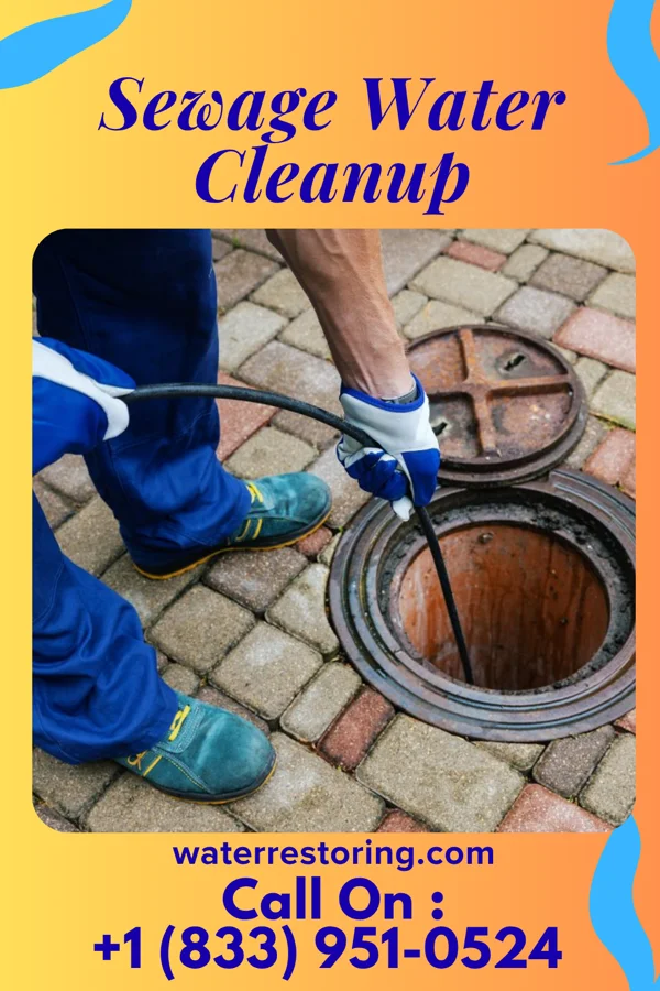 Sewage Water Cleanup in Palestine, TX